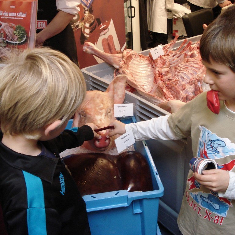Grísinn sem var við bás Kjarnafæðis vakti mikla athygli og ekki síst hjá þeim yngstu.
