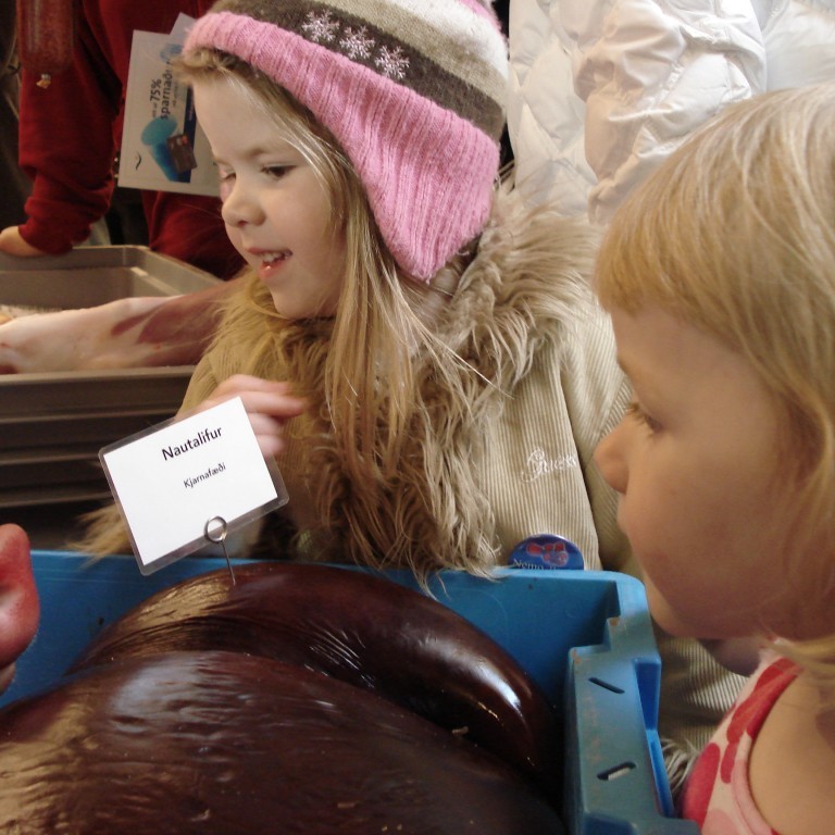 Telma Björk og Lena Rakel skoða grísinn góða af miklum áhuga.