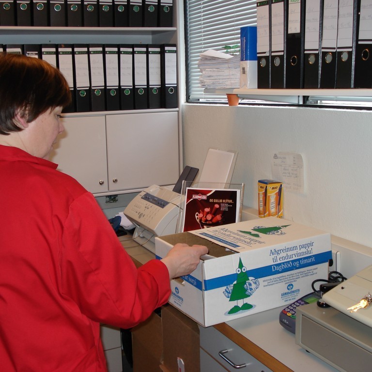 Rebekka flokkar pappír til endurvinnslu.
2007