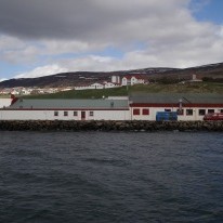 Kjarnafæði 20 ára.