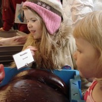 Yfir 10 þúsund gestir á MATUR-INN 2007