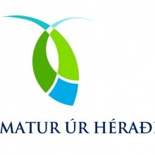 Guðrún Elfa Skírnisdóttir hönnuður verðlaunamerkis