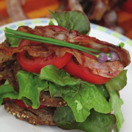 Hin fullkomna samloka