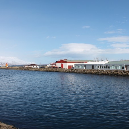 Kjarnafæði á Svalbarðseyri