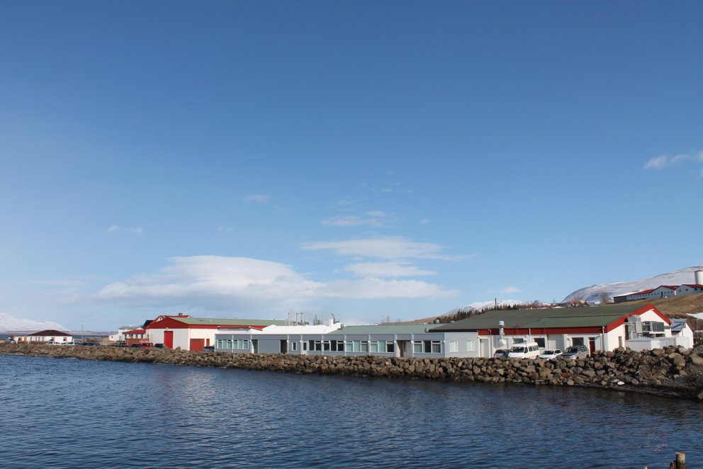 Kjarnafæði á Svalbarðseyri